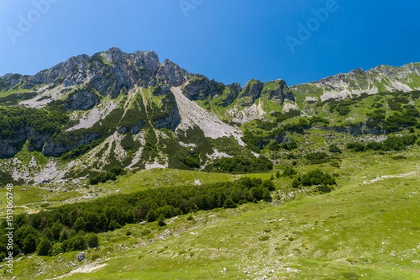 Fototapeta Aerial view of Durmitor Mountains of Montenegro