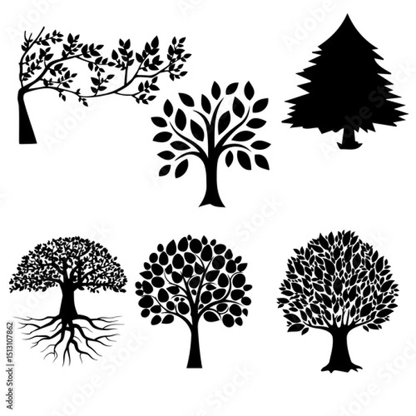 Obraz Plant vector-7