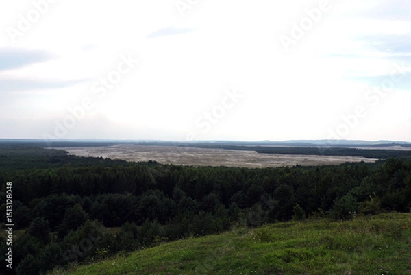 Obraz Błędów Desert Surrounded by Forest