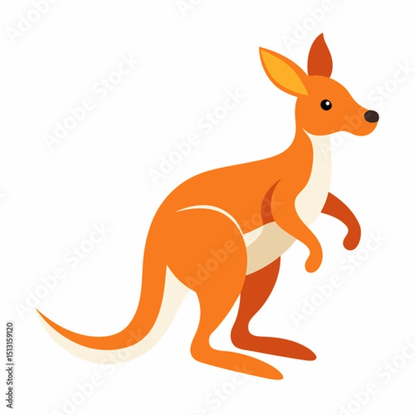 Fototapeta kangaroo vector illustration