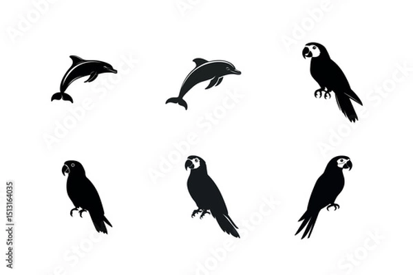 Fototapeta Dolphin and macaw parrot silhouettes set