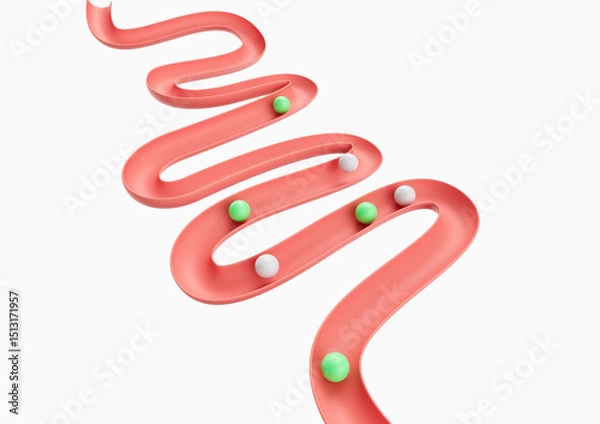 Fototapeta Human Gut Model Digestive System Or Intestinal Tract Mockup With Balls Rolling Down 3D Illustration