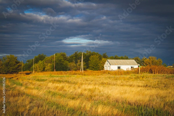 Fototapeta White house in norway. Lonely house in field in Scandinavian style at sunset..