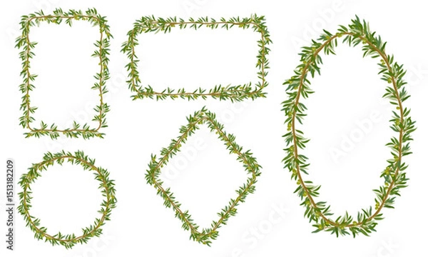Obraz Olive branches, decorative lines, and frames with leaves. Elegant botanical elements perfect for wedding invitations, product packaging, branding, logos, and Mediterranean-themed designs.