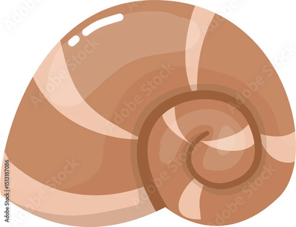 Obraz Brown Seashell illustration
