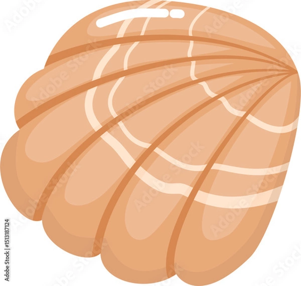 Obraz Cute Orange Seashell