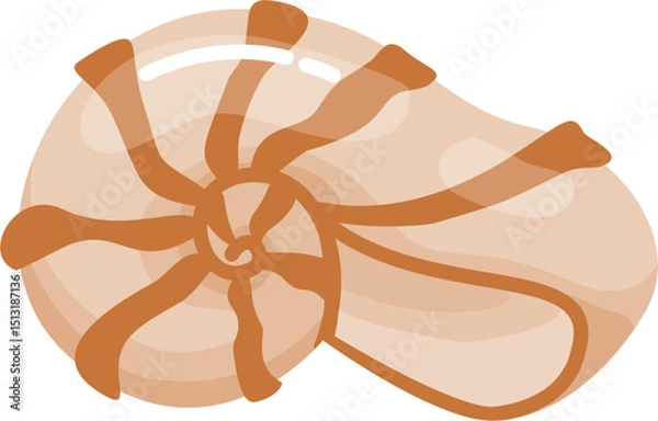 Obraz Nautilus Seashell illustration
