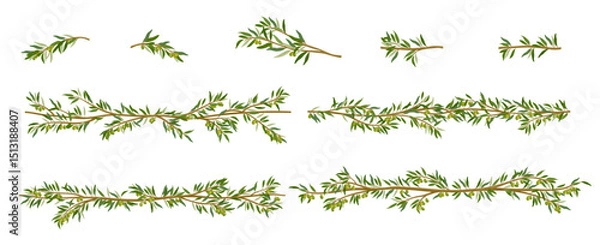 Obraz Olive branches, decorative lines, and frames with leaves. Elegant botanical elements perfect for wedding invitations, product packaging, branding, logos, and Mediterranean-themed designs.
