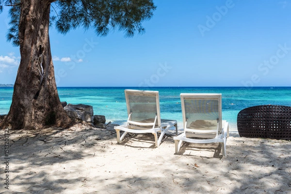 Obraz Pair of sun loungers in the shade of a large pine tree on a beautiful sandy beach in Jamaica. Summer vacation and travel concept.