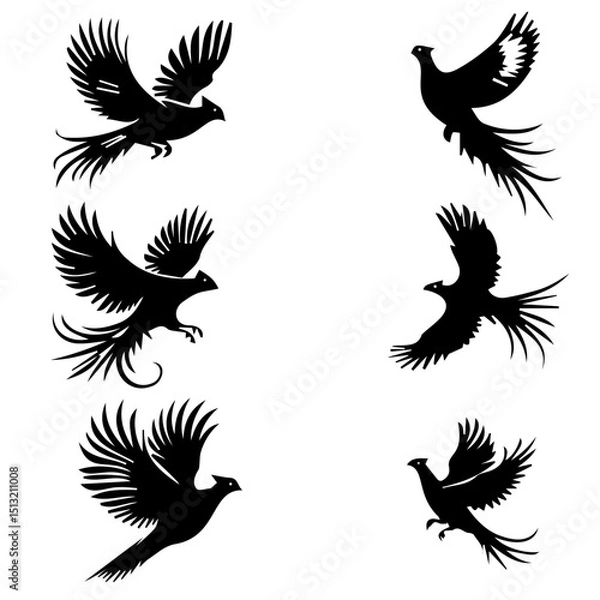 Obraz Bird Vector-5