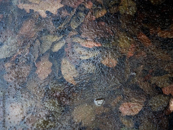 Fototapeta Autumn foliage as texture under ice. Nature background in dark ochre color