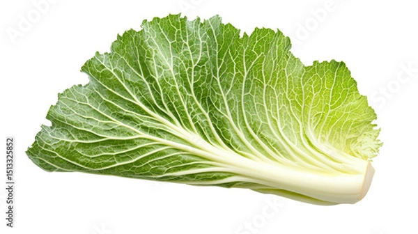 Obraz Fresh green leaf vegetable isolated on white background.
