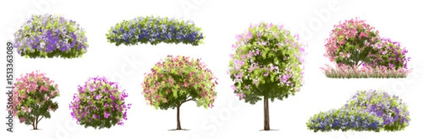 Fototapeta  Vector watercolor blooming flower tree or forest side view isolated on white background for landscape and architecture drawing,elements for environment or and garden,green tree for garden section 