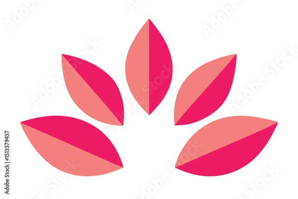 Fototapeta Petal form structured floral shape in geometric style on white background vector illustration