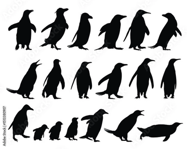 Fototapeta Set of silhouettes of wild penguins.

