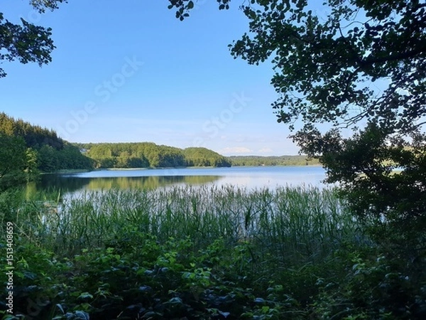 Fototapeta Kungsbacka nature and landscape in Sweden