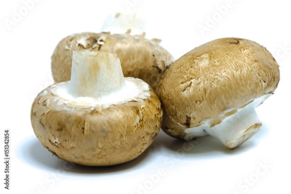 Obraz Isolated Chestnut Mushrooms