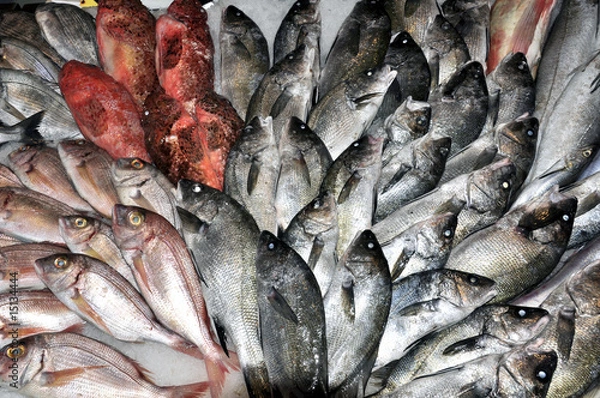 Obraz Poissons à vendre