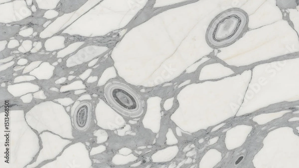 Fototapeta Full-frame 2D slab of Arabescato marble with circular grey swirls on a white body, polished surface.