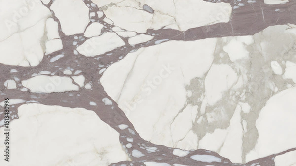 Fototapeta Full-frame 2D Calacatta Belgia marble slab with fine-tuned violet and light grey veining.