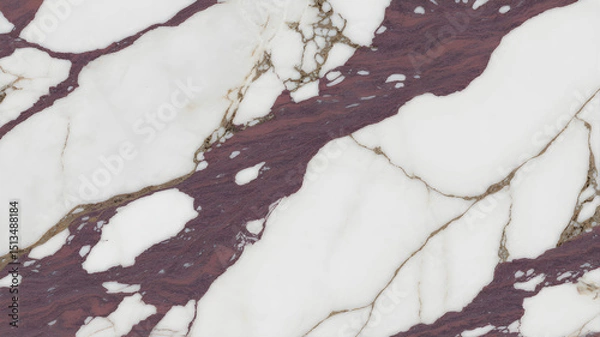 Fototapeta Full-frame 2D Calacatta Viola slab with rich violet and burgundy mineral patterns on bright white marble.