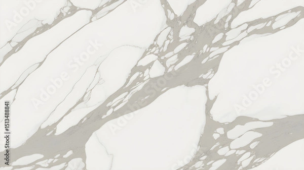 Fototapeta Full-frame 2D statuario marble slab with soft grey flowing veins across a crisp matte white surface.