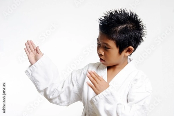 Fototapeta karate chop