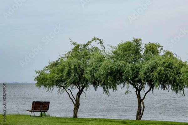 Fototapeta beautiful place for rest with trees and bench on the river bank on a summer day