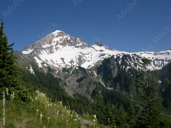 Obraz Mt. Hood, Oregon