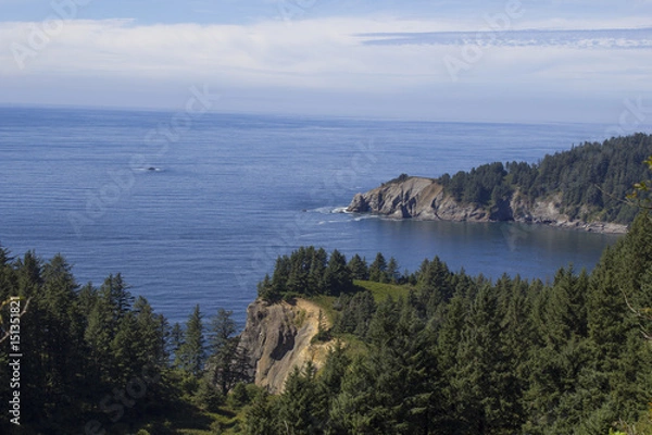 Obraz Oregon Coast