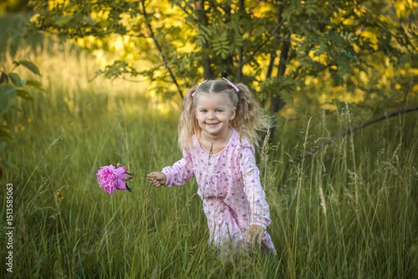 Obraz cheerful 3-year-old girl with pigtails in a pink dress with a peony walks in a village meadow