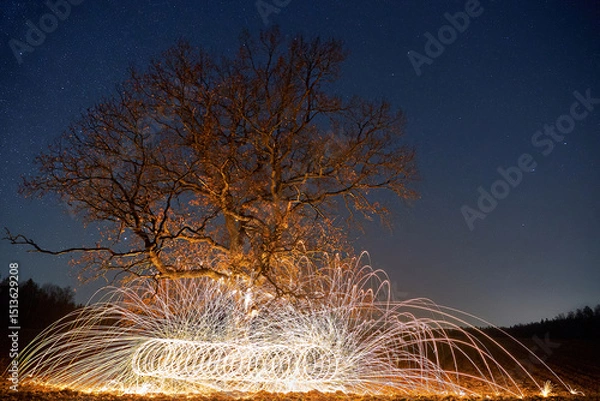 Obraz Nice night landscape with a lonely tree in the background of the stars. Long exposure shooting and fire show. Alternative landscape
