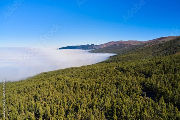 Obraz Western and southern nature in a mountainous area. Dense forest in the mountains at high altitude