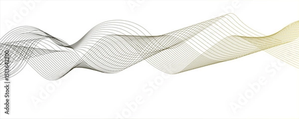 Fototapeta Abstract grey smooth element swoosh speed wave modern stream background. Abstract frequency sound wave lines and twisted curve lines background. Visual music wave frequencies rhythm. 
