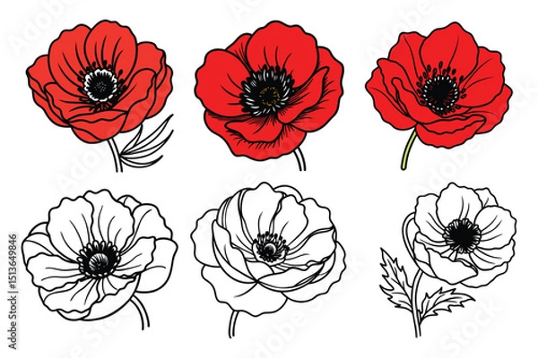 Obraz Set of red poppy petals flowers line art vector illustration on white background.