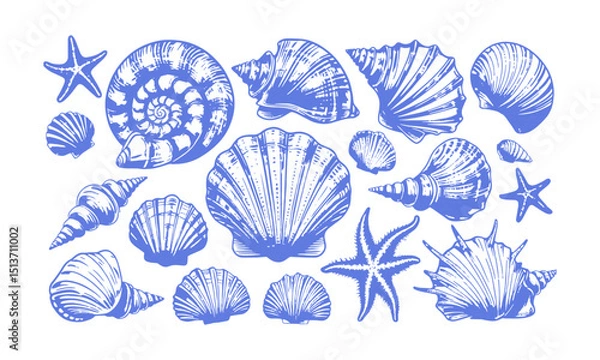 Fototapeta A Modern vector-style collection of detailed seashell and marine illustrations, Include a variety of shell types such as spiral, conch, scallop, and clam shells, easily scalable and editable.