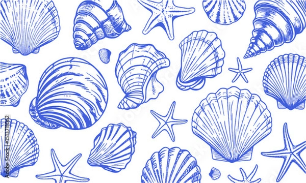 Fototapeta A Modern vector-style collection of detailed seashell and marine illustrations, Include a variety of shell types such as spiral, conch, scallop, and clam shells, easily scalable and editable.