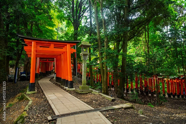 Obraz Red thousand of traditional gates or torii in Fushimi Inari Taisha with  Fushimi Ward, Kyoto, Japan