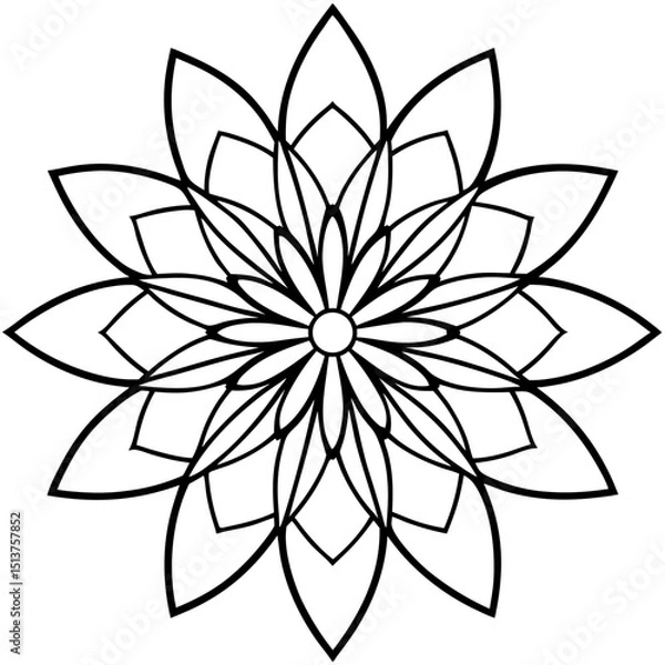 Obraz Radiating Flower Petals Forming Symmetrical Damask Burst