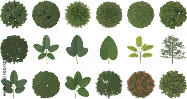 Fototapeta A collection of various tree and leaf illustrations arranged in a grid pattern on a white background