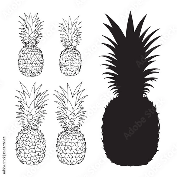 Fototapeta Silhouette set of pineapple on white backgroudnd