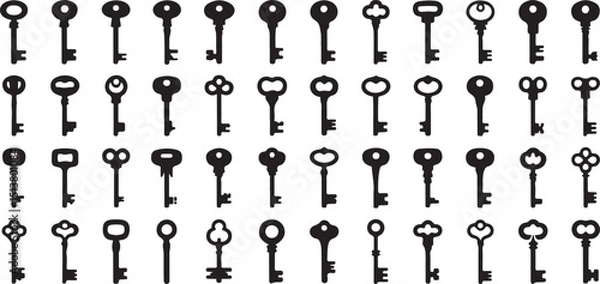 Fototapeta High quality key silhouettes icon set a collection of detailed key icons for design projects