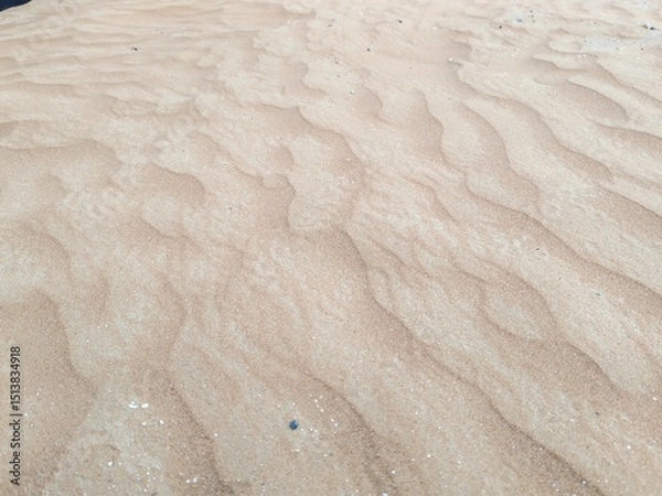 Obraz Desert Sand Ripples, Sand Ripples On Beach. Beautiful Ripples Background Due To Wind On Desert And Due To Water Shore On Beach. Desert Sand Ripples Waves Of Wind,.
Brown Sandy environment landscape.