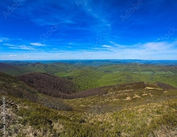 Obraz View from Połonina Carycka towards the Bieszczady Mountains, covered with forests, the region in Europe with the lowest population density.