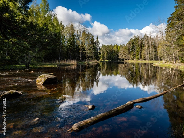 Obraz Salmon river landscape in a beautiful summer day.
Swedish river and natural area in summer