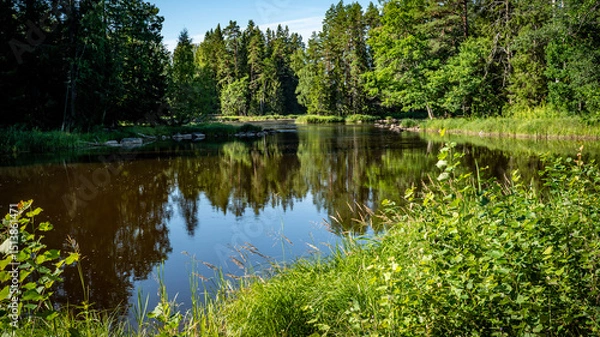 Obraz Salmon river landscape in a beautiful summer day.
Swedish river and natural area in summer