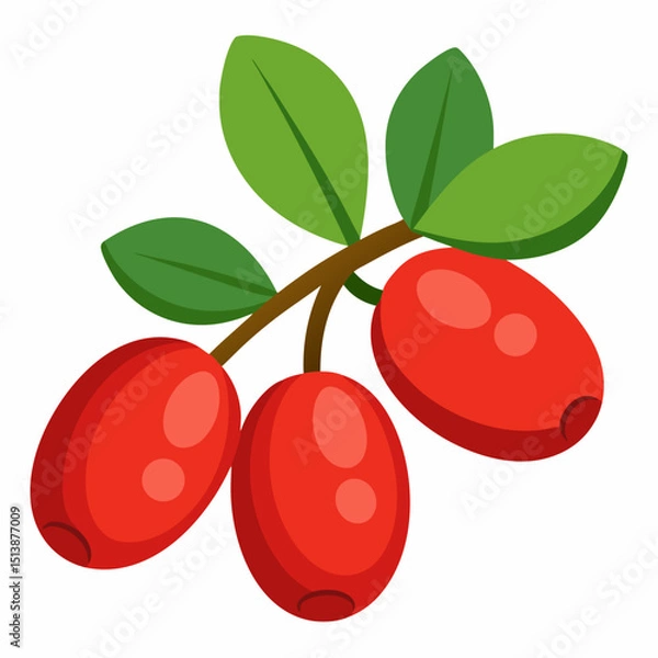 Obraz vector illustration of cherry