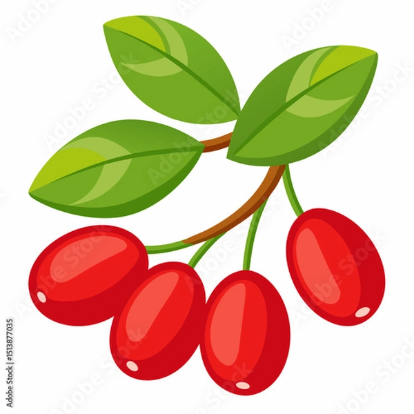 Obraz vector illustration of cherry