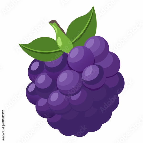 Obraz Blackberry Fruit Icon Vector Illustration
