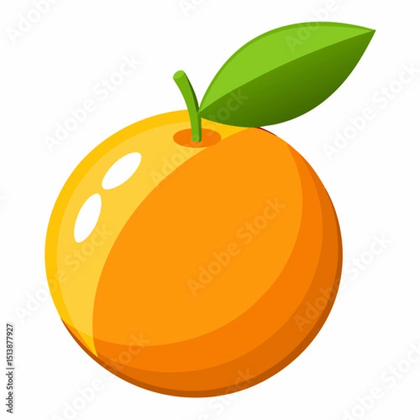 Obraz orange fruit vector illustration